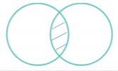 Pp3.1