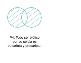 Diagrama en blanco - Página 6 (14).jpg