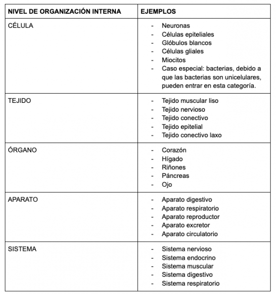 Archivo:Ejemplos P2.1 Niveles de Organización Interna de los Seres Vivos.png